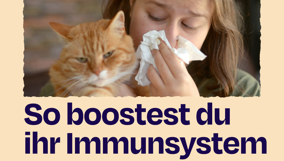 Wunderschne Immunsystem Katze Strken Fotos