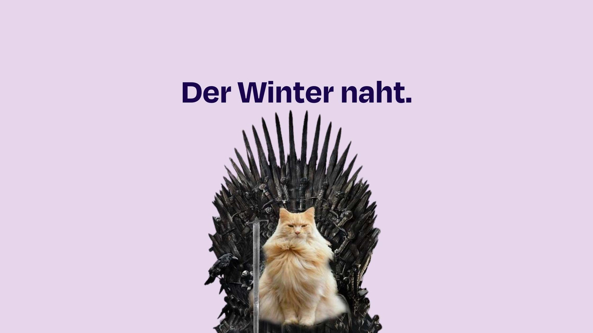 Wie erkenne ich, ob meine Katze friert?
