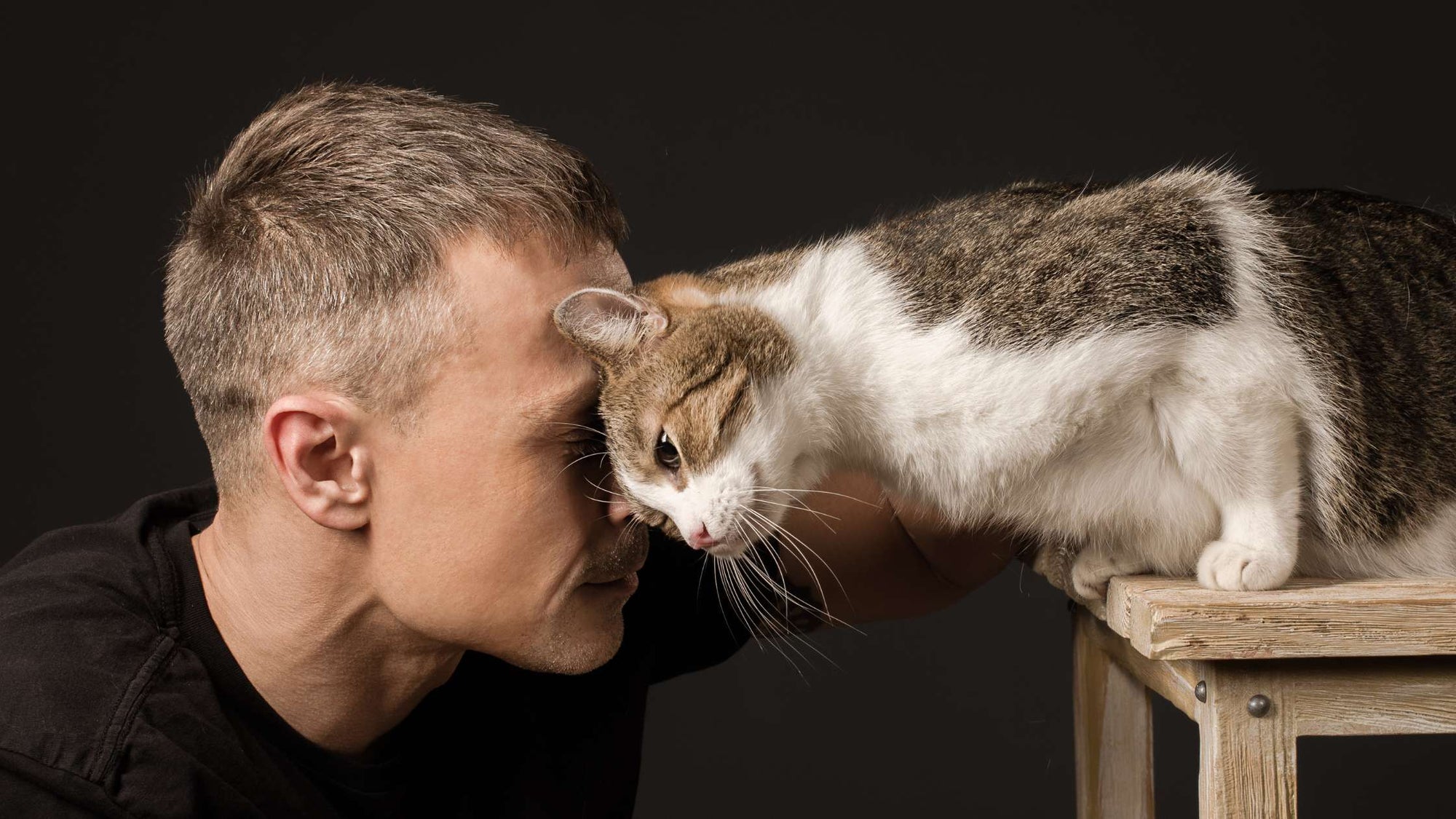 Vertraut mir meine Katze? Diese 5 Anzeichen zeigen es 😺