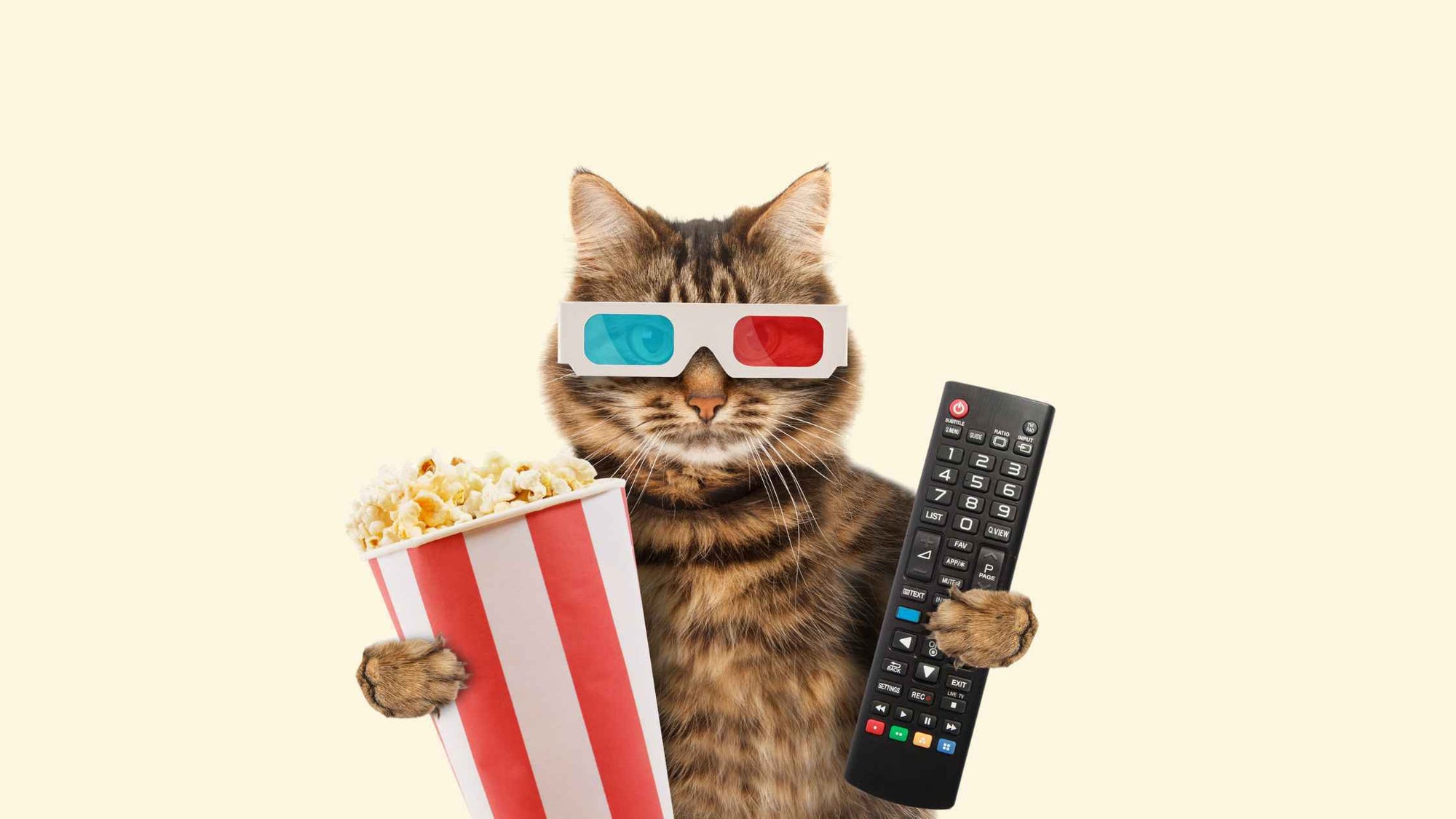 Romantic Movies to watch with your Best Friend