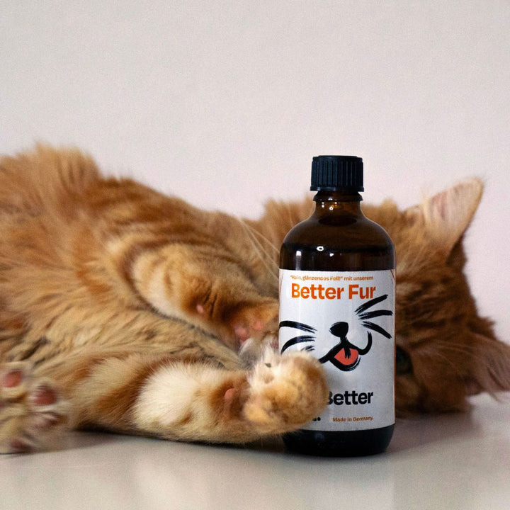 Better Fur Futteröl