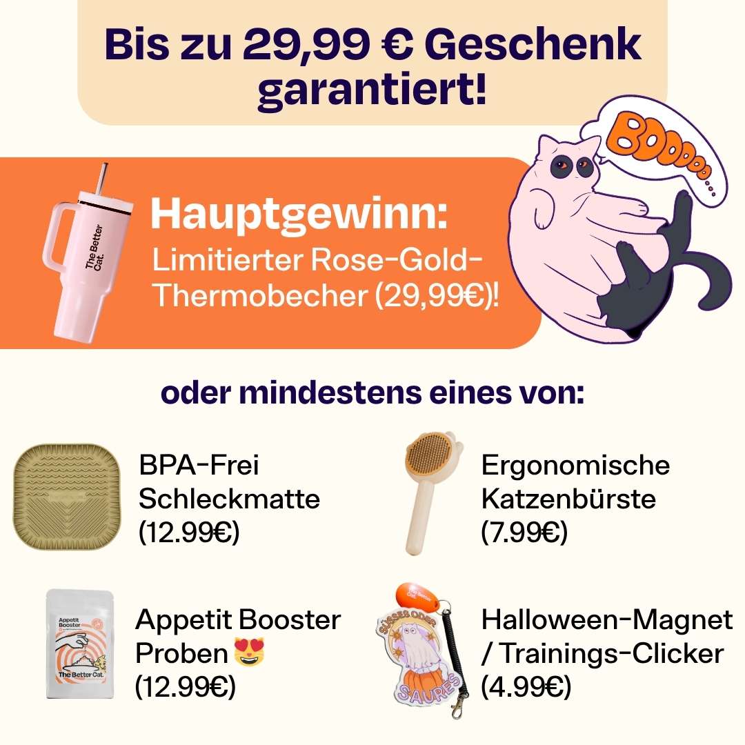 Halloween Mystery Bundle