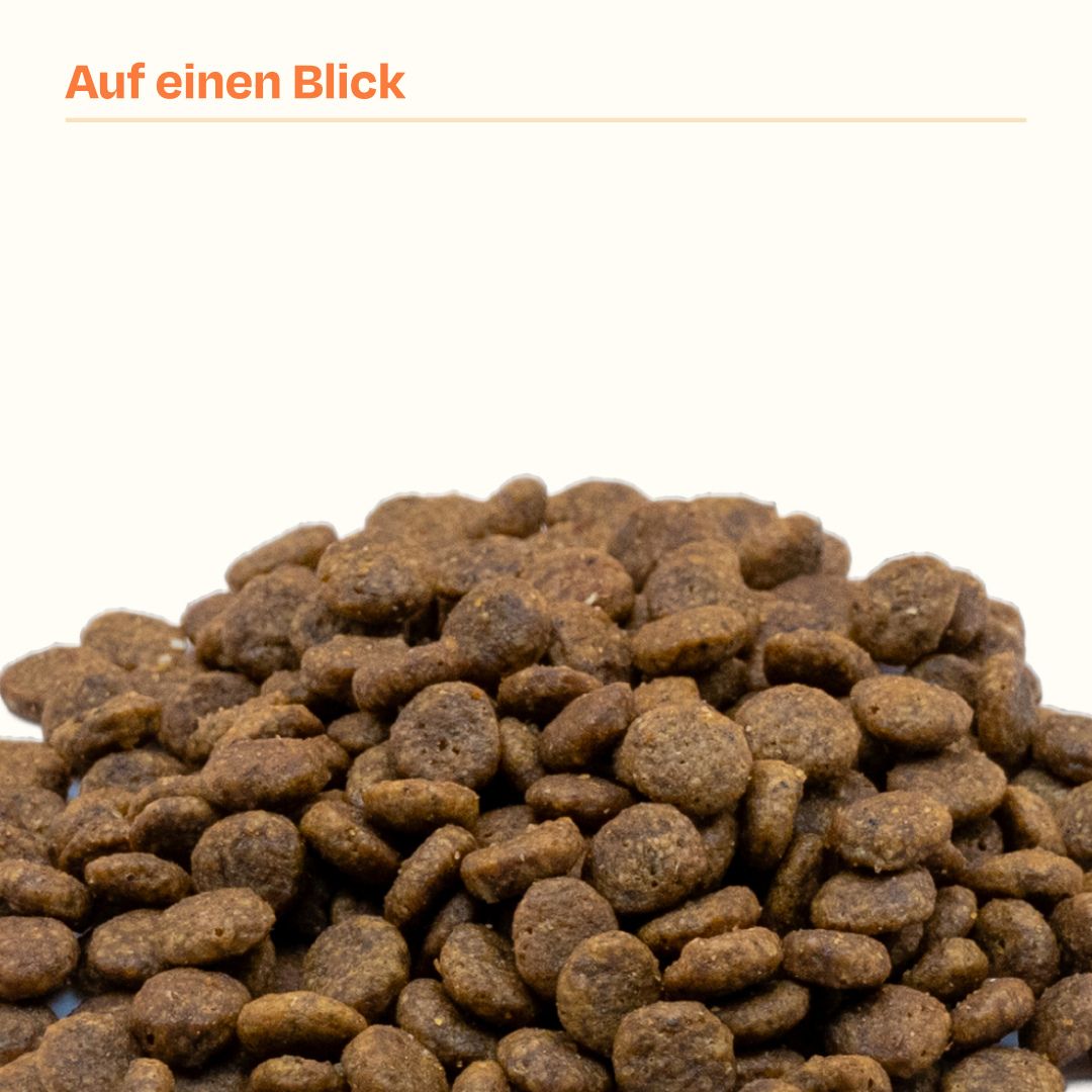 1kg Getreidefrei frisches Huhn 🐔 & 1kg frischer Lachs 🐟 Trockenfutter
