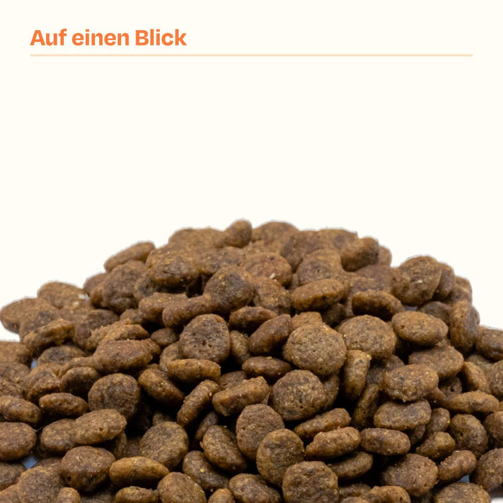 1kg Getreidefrei frisches Huhn 🐔 & 1kg frischer Lachs 🐟 Trockenfutter