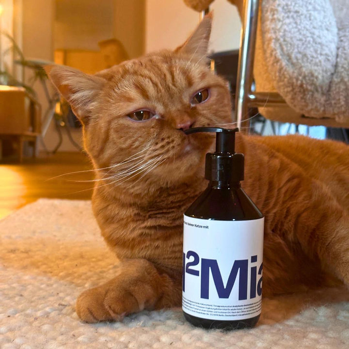 H2Miau Hydration Booster