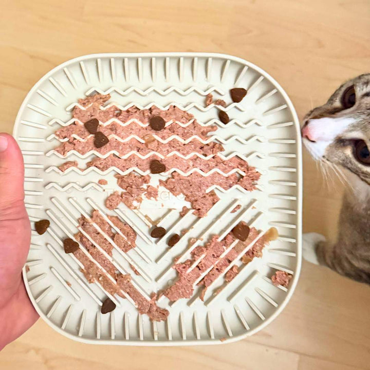 Wellness Starterpack inkl. GRATIS Schleckmatte