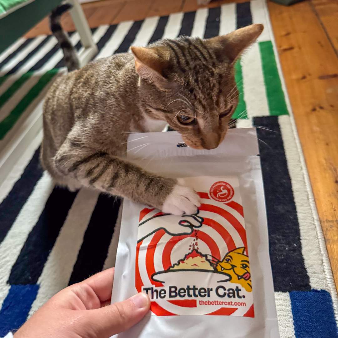 Appetit Booster für Katzen