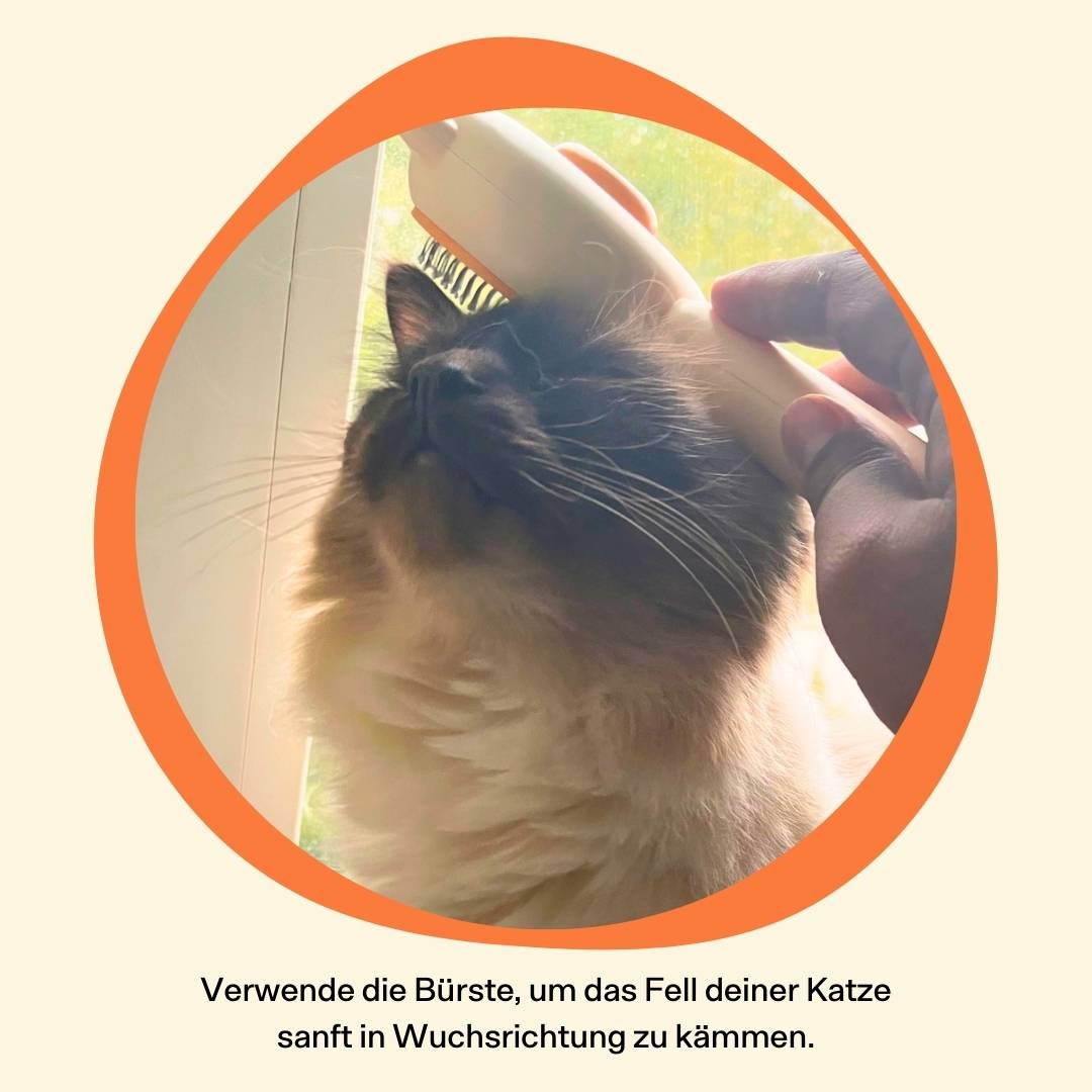 Die ergonomische Katzenbürste