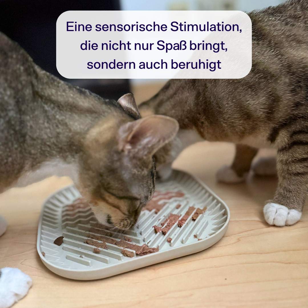 Crème Miau Schleck Snack