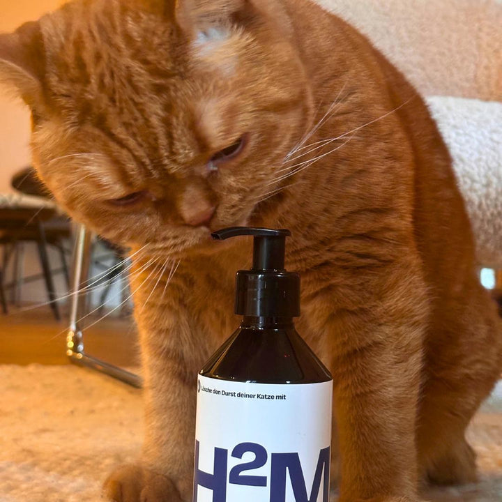 H2Miau Hydration Booster