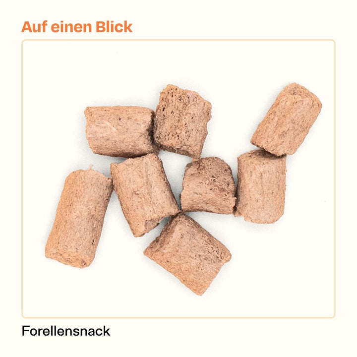 50g gefriergetrockneter purer Forellensnack 🐟