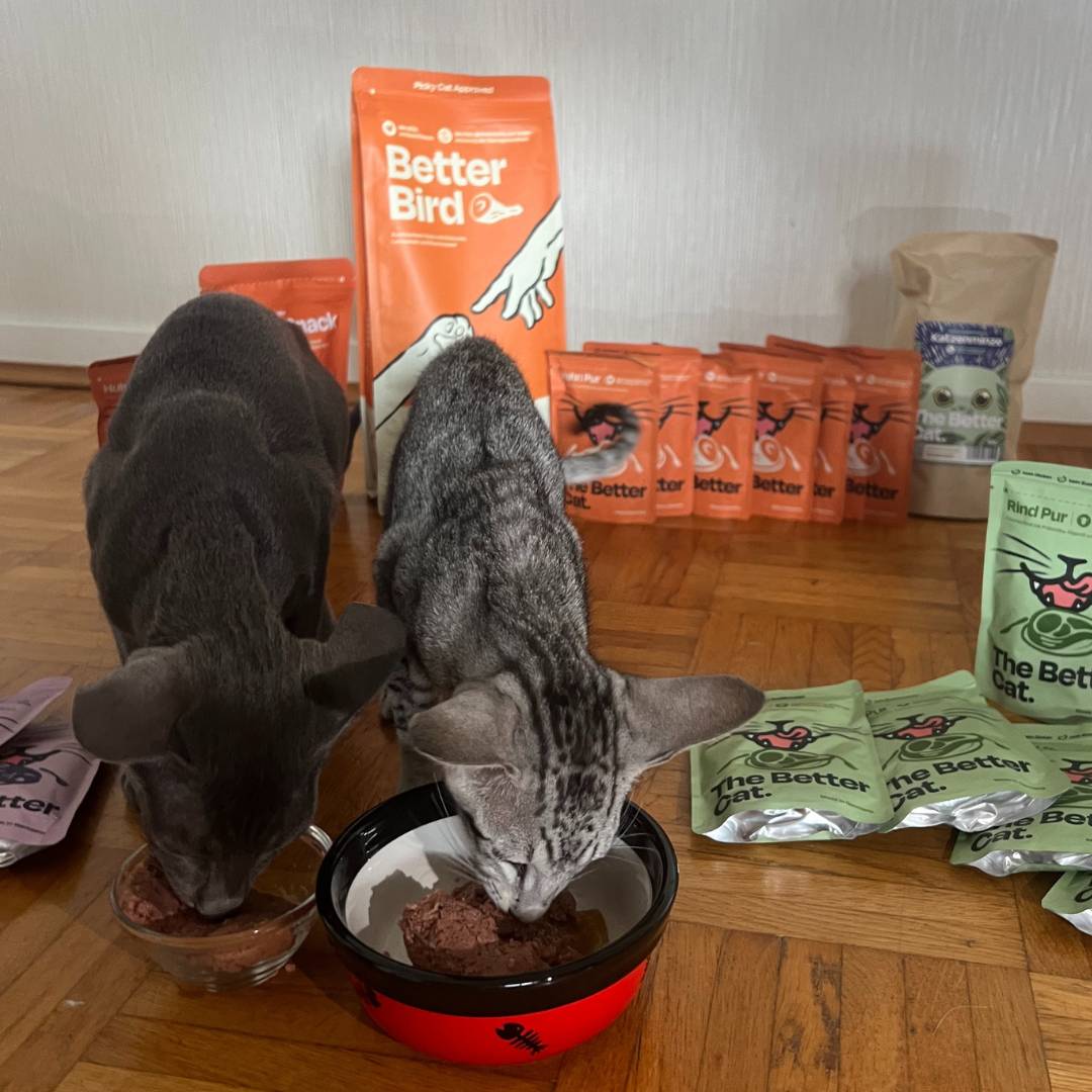 12x85g Monoprotein Rind Pur Nassfutter