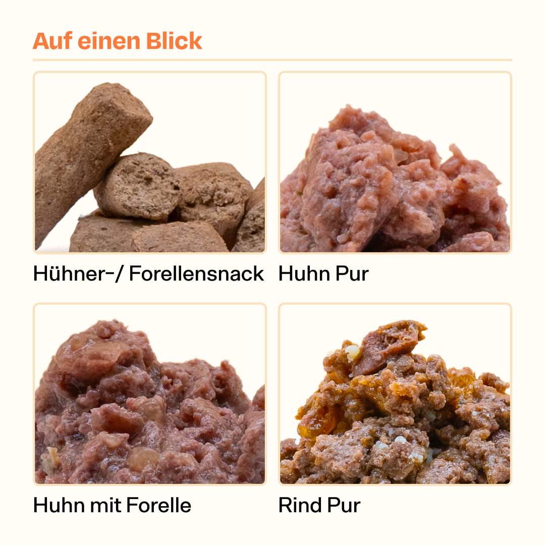 Nalas Trainings-Bundle mit GRATIS Clicker