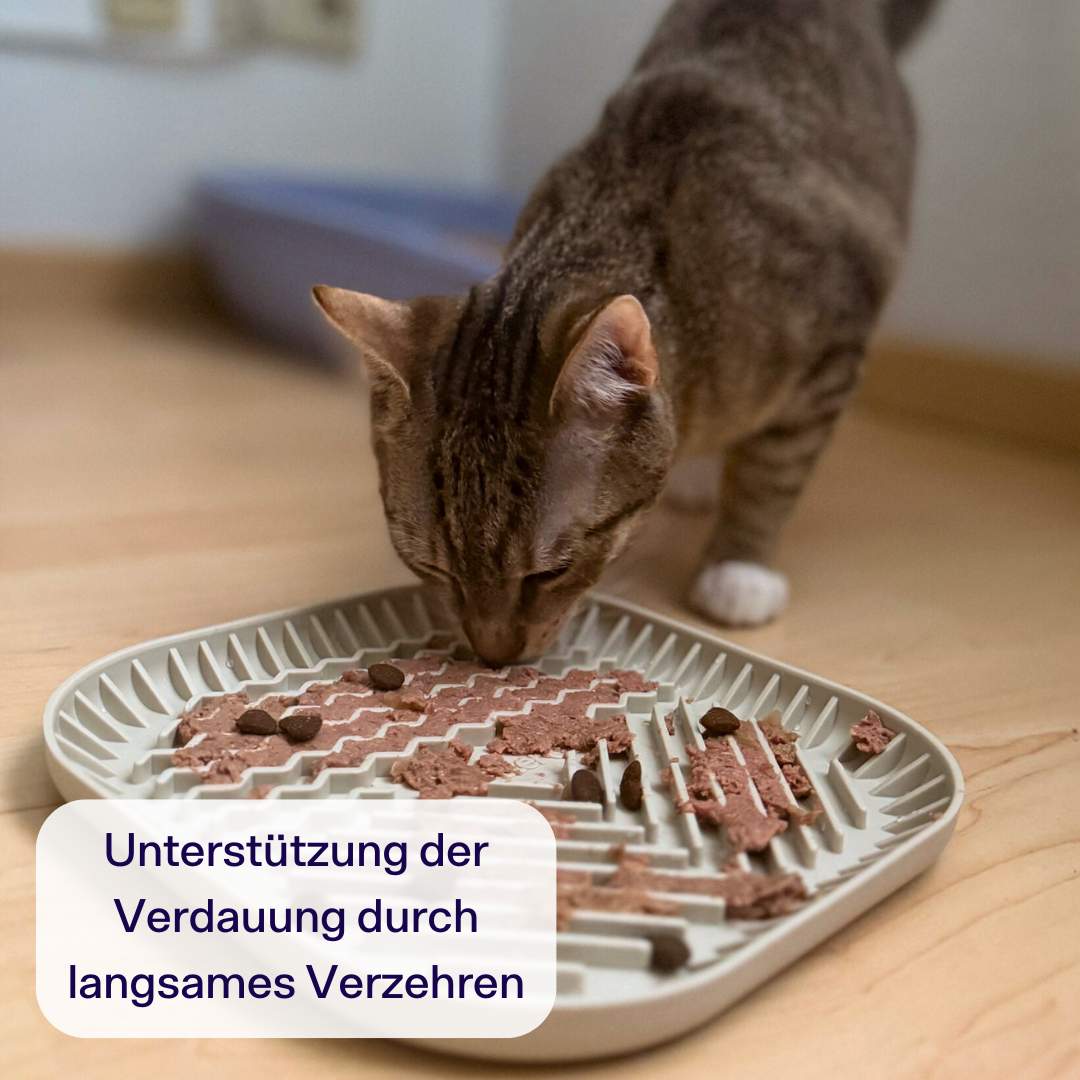 Wellness Starterpack inkl. GRATIS Schleckmatte