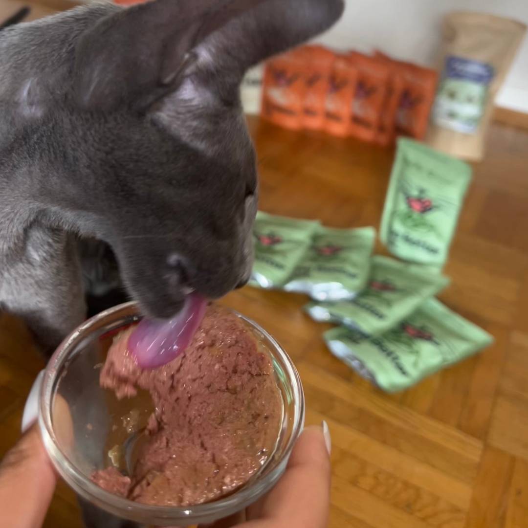 12x85g Monoprotein Rind Pur Nassfutter