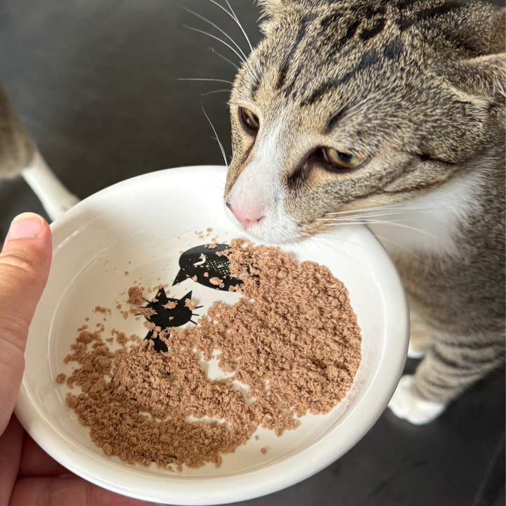 Appetit Booster für Katzen