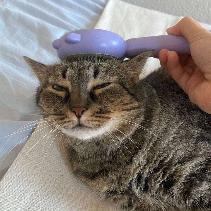 Die ergonomische Katzenbürste