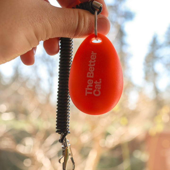 Katzentraining Clicker