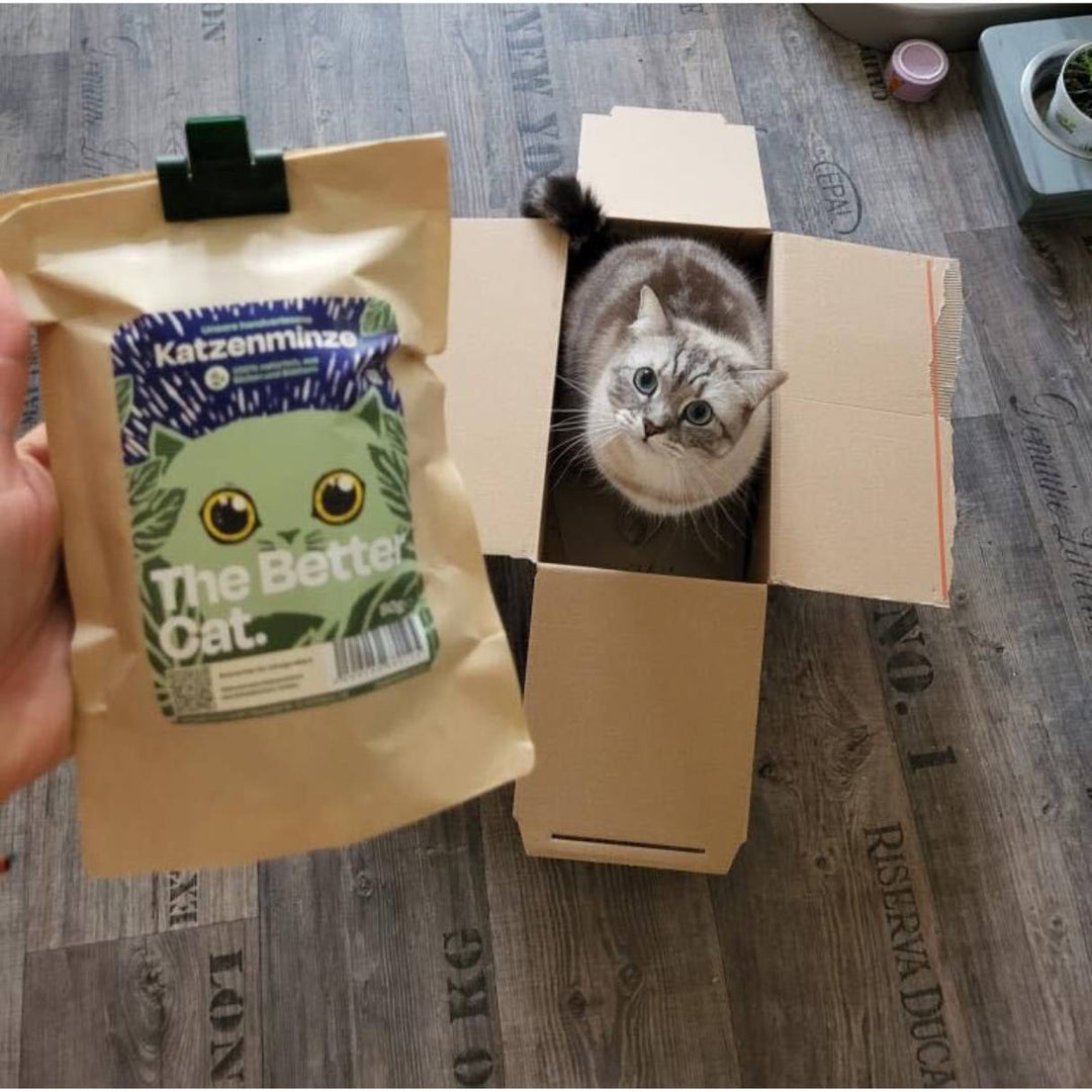 30g Handverlesene Katzenminze