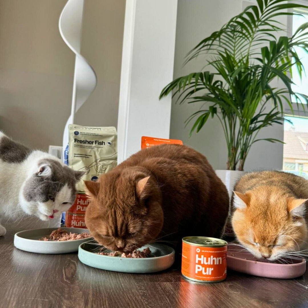 6x200g Monoprotein Huhn Pur Nassfutter