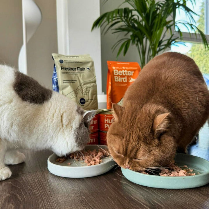 Nassfutter Volumenpaket - Dosen