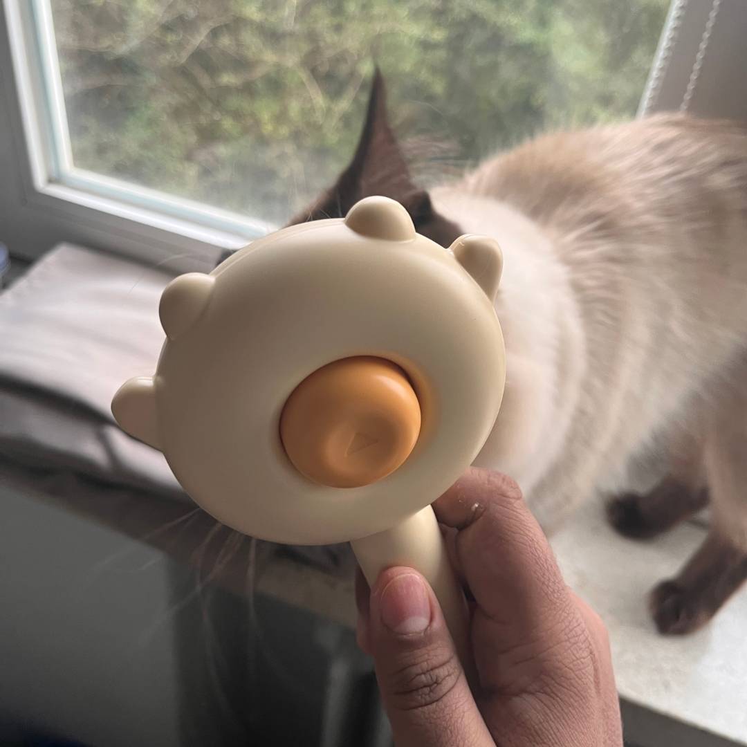 Die ergonomische Katzenbürste