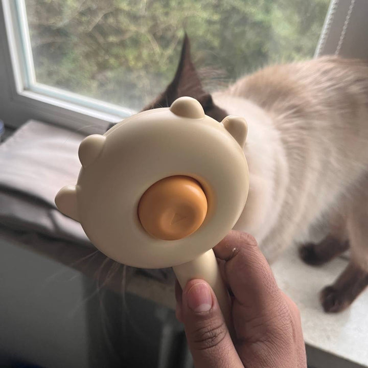 Die ergonomische Katzenbürste