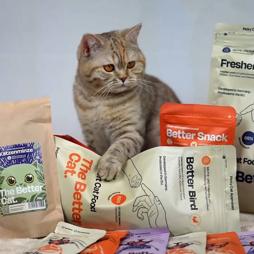 1kg Getreidefrei Frischer Lachs 🐠