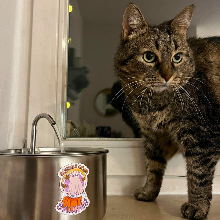 Halloween Mystery Bundle