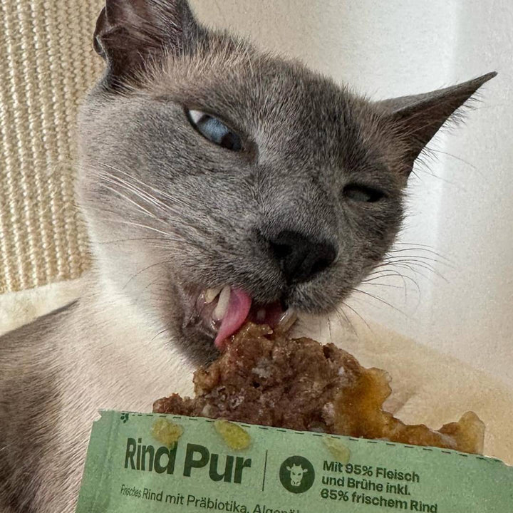 12x85g Monoprotein Rind Pur Nassfutter