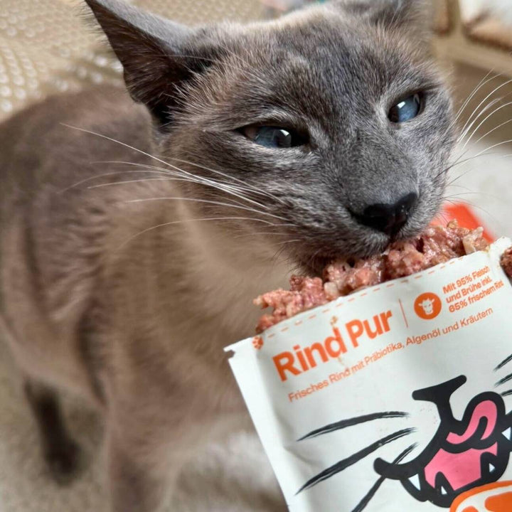 Nierenschutz-Probier-Pack