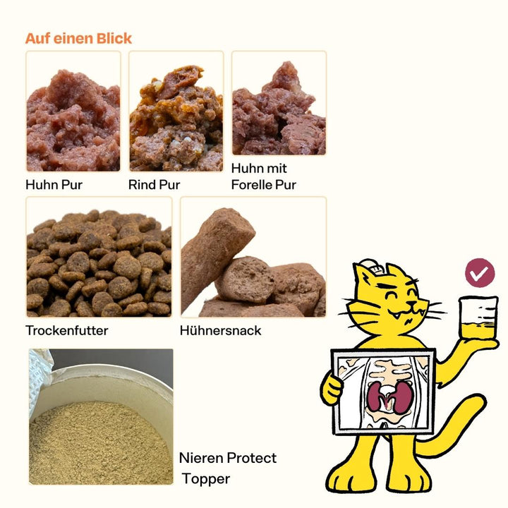 Nierenschutz-Probier-Pack