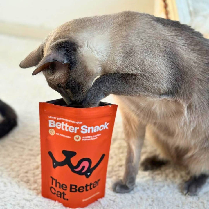 Nierenschutz-Probier-Pack