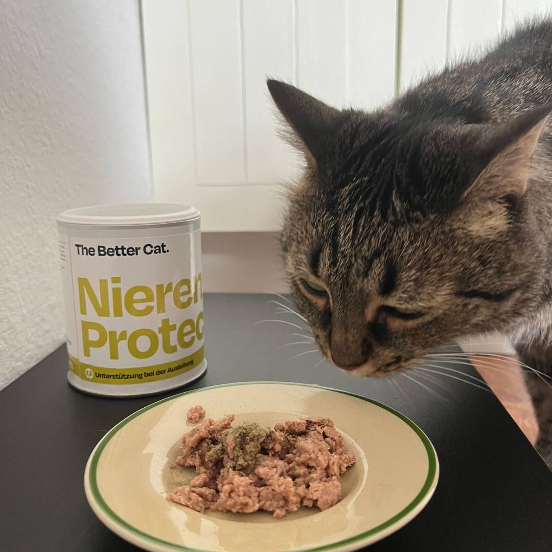 Nierenschutz-Probier-Pack