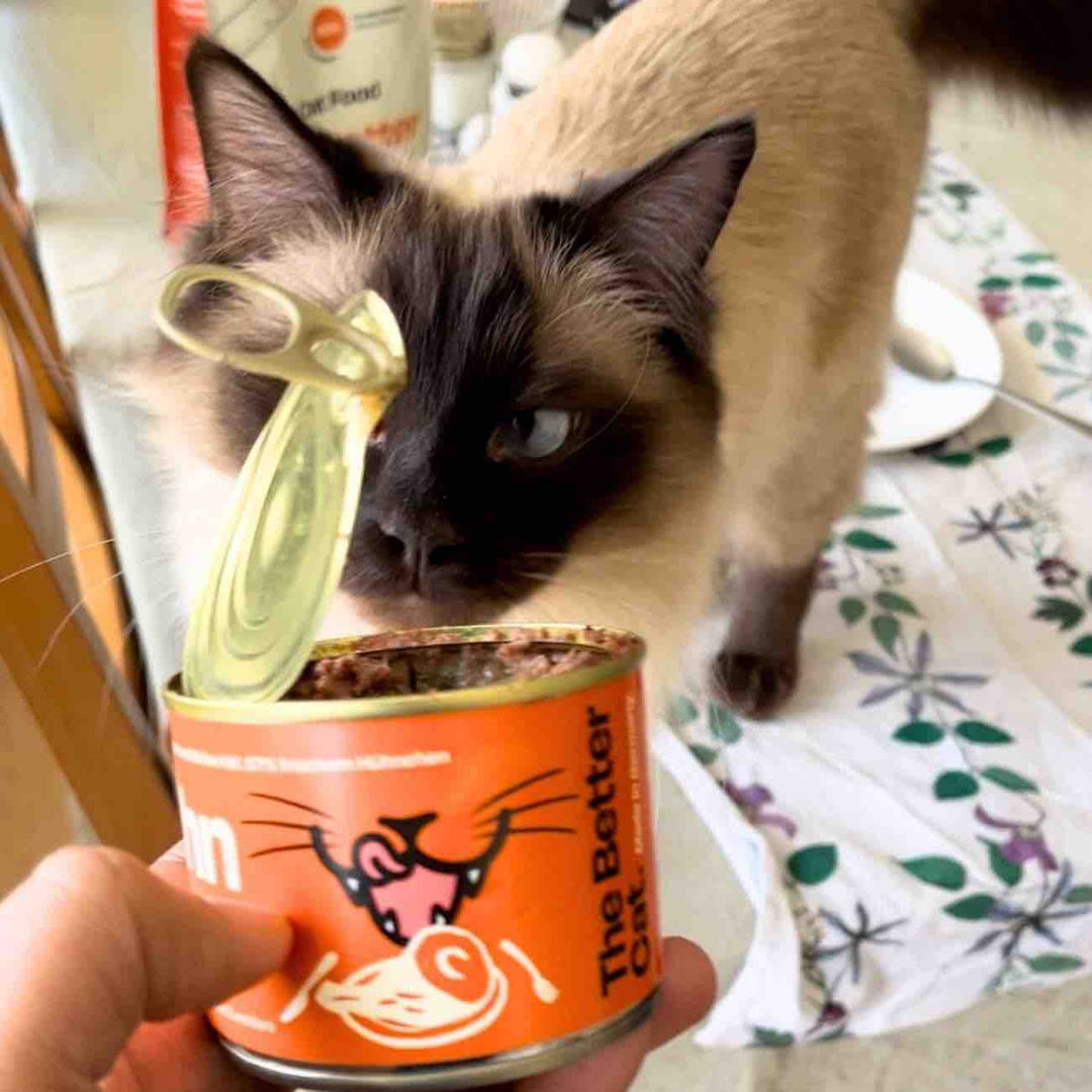 6x200g Monoprotein Huhn Pur Nassfutter