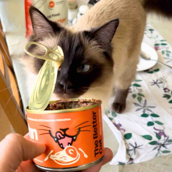 6x200g Monoprotein Huhn Pur Nassfutter