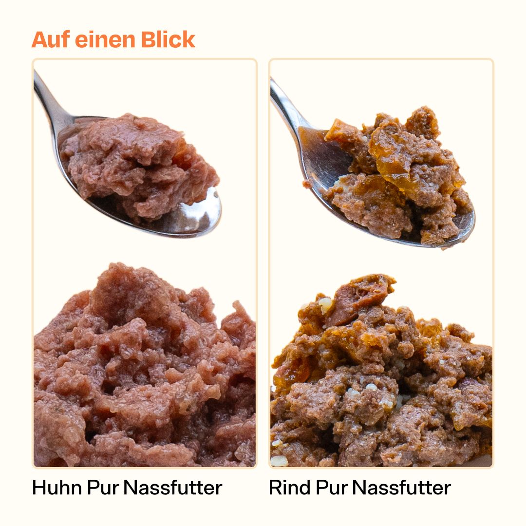 Nassfutter Volumenpaket - Dosen