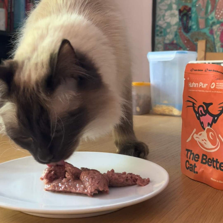 Nassfutter Pur Probier-Pack