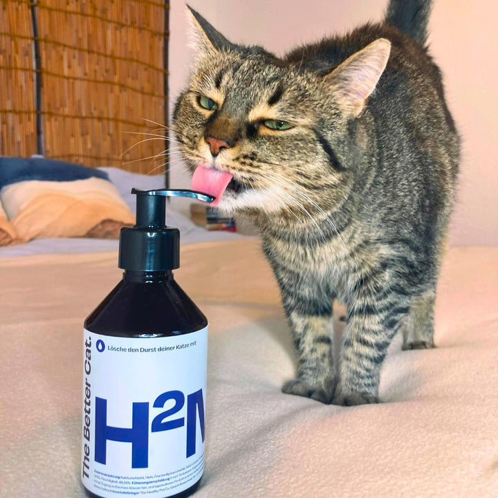 H2Miau Hydration Booster