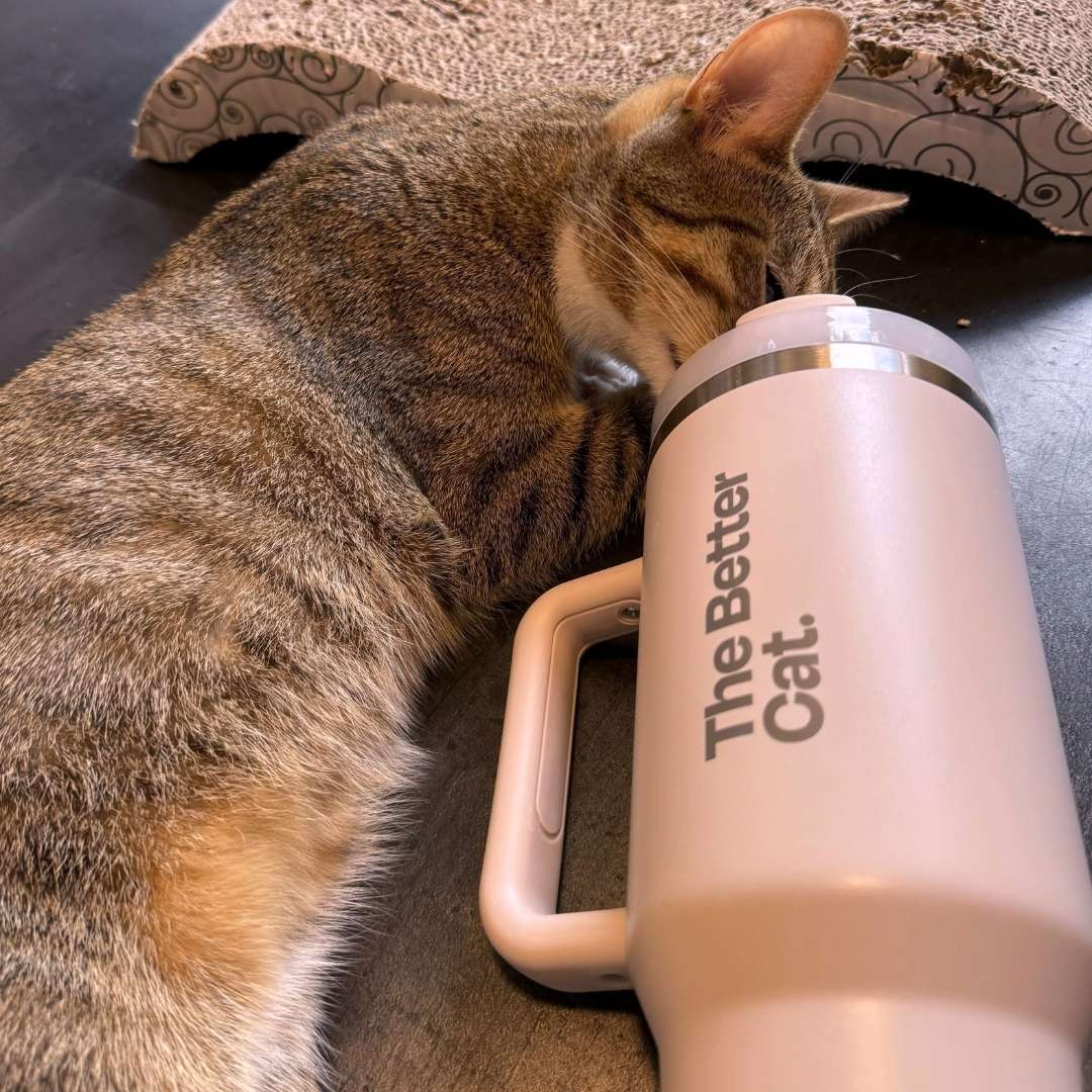 Halloween Mystery Bundle