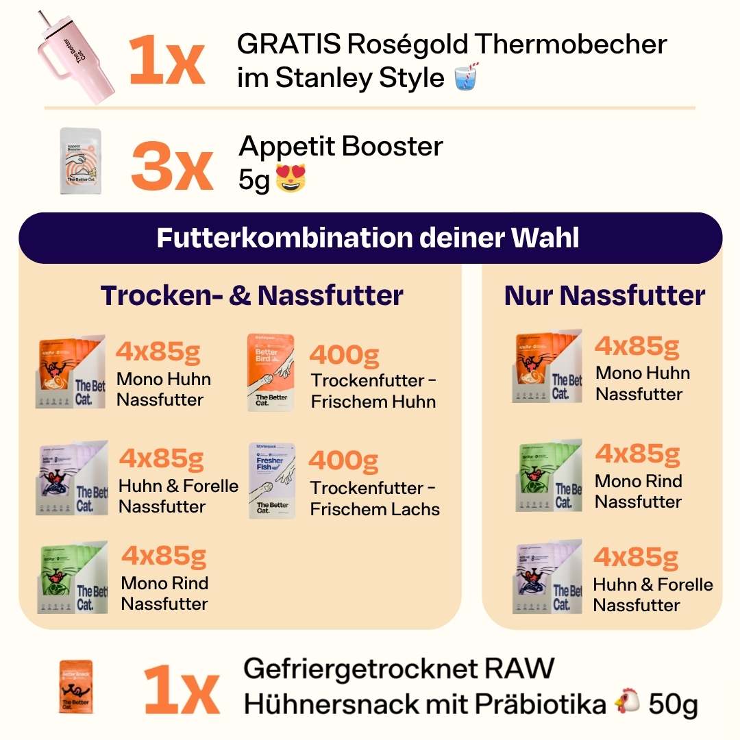 Monster Bundle inkl. GRATIS Thermo - Roségold