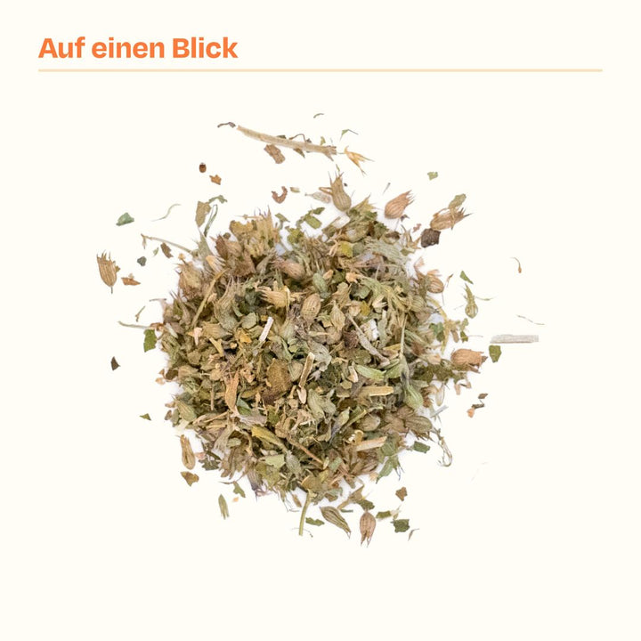 30g Handverlesene Katzenminze