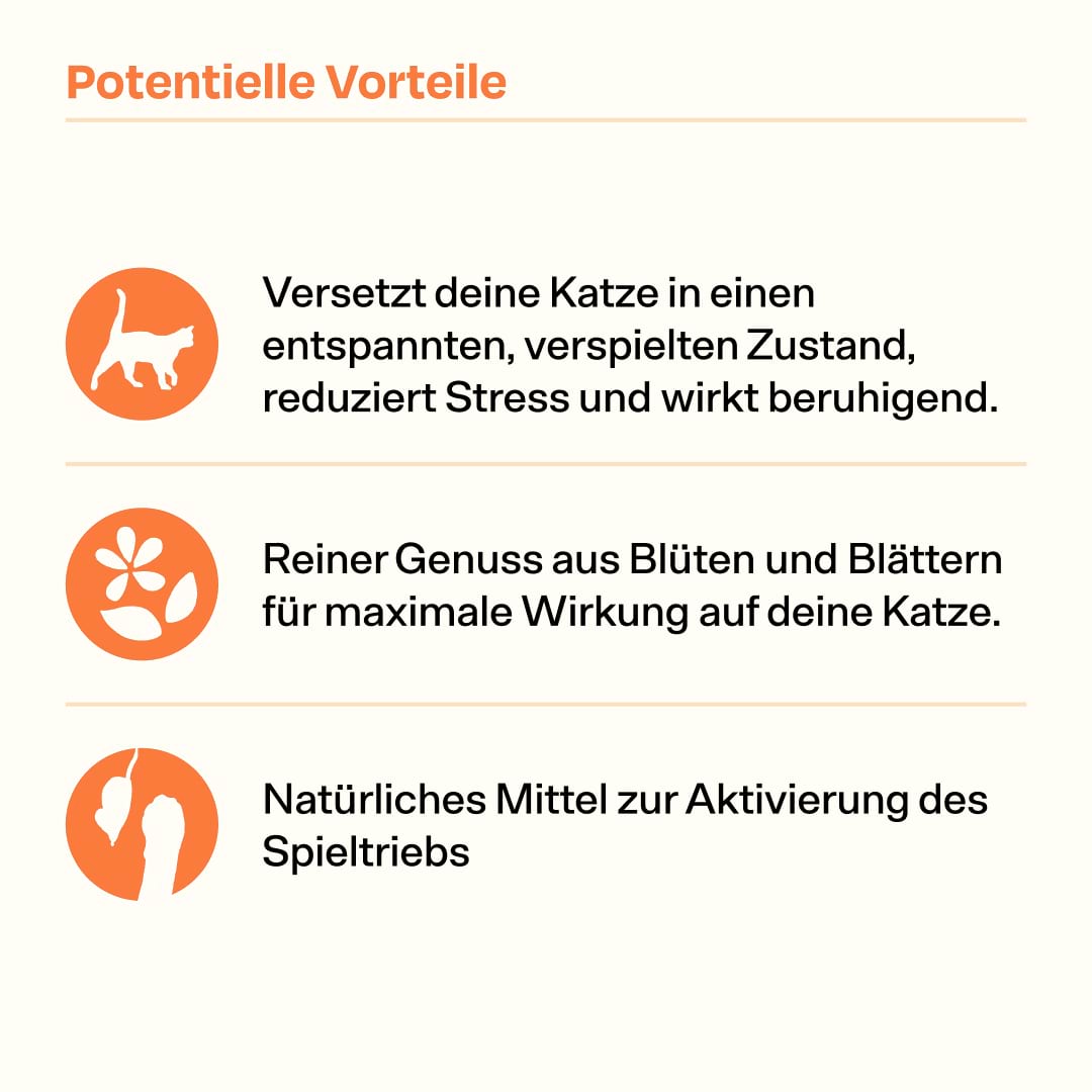 30g Handverlesene Katzenminze