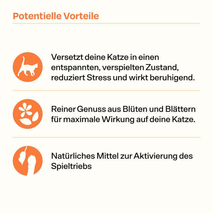 30g Handverlesene Katzenminze