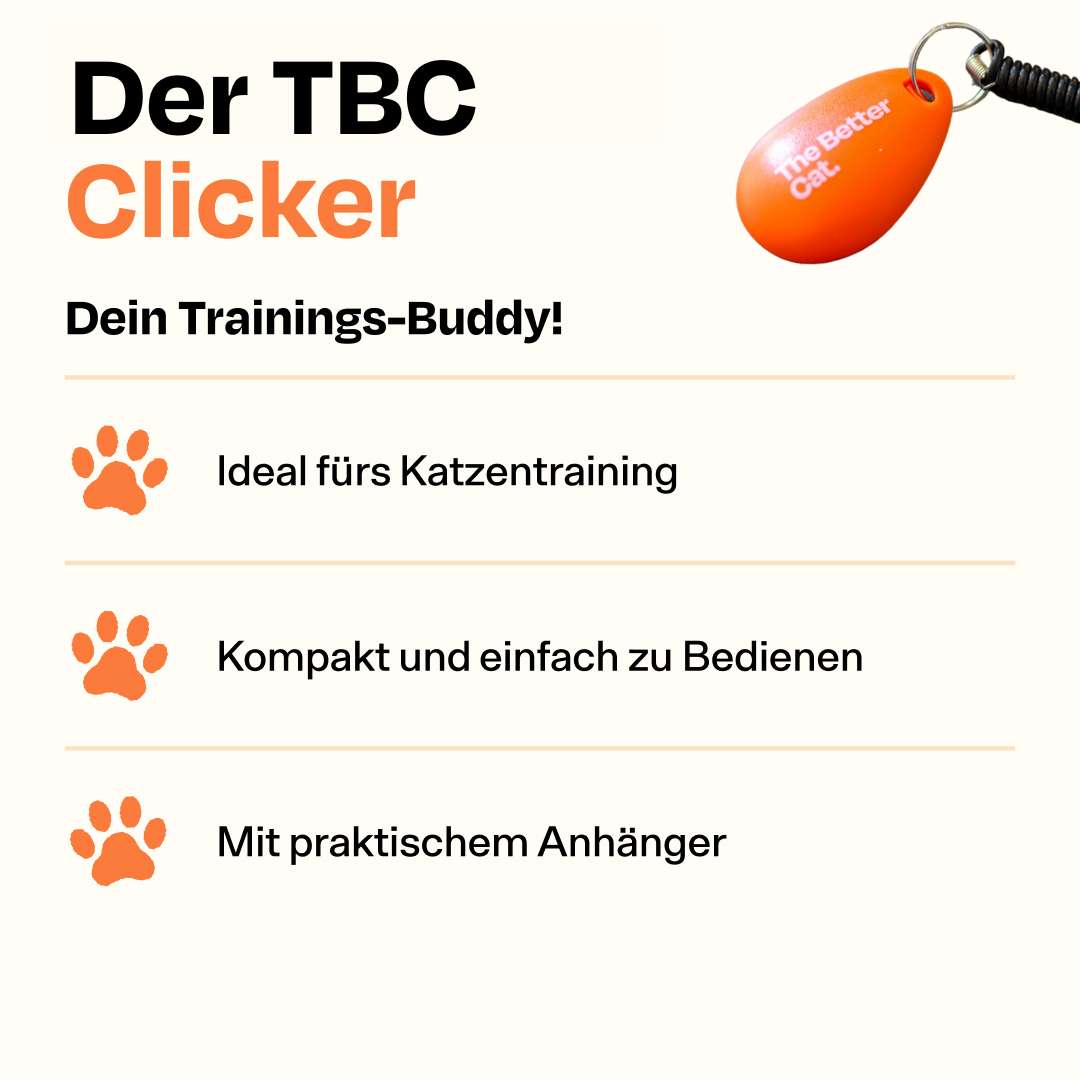Katzentraining Clicker