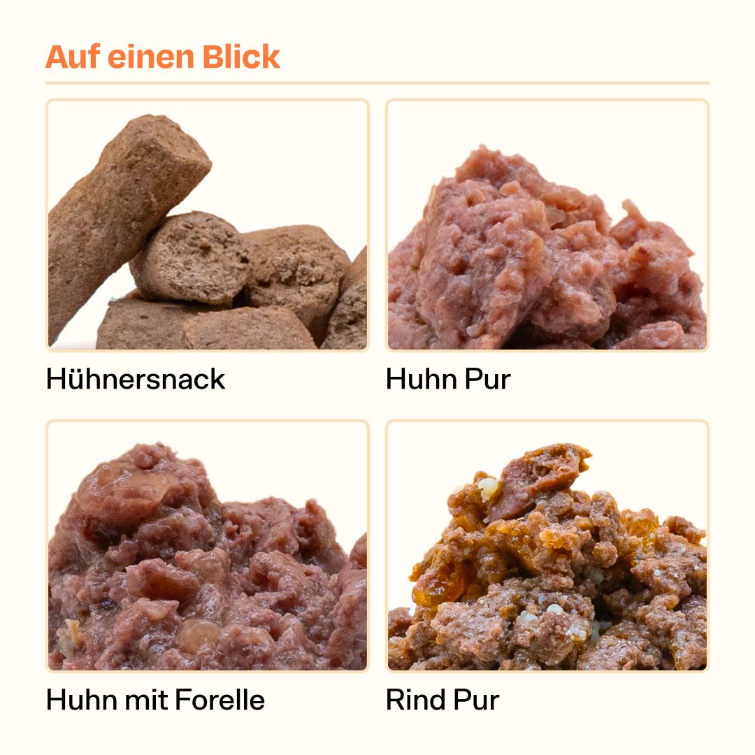 Nassfutter Pur Probier-Pack