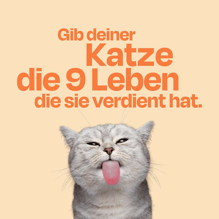 12x85g Monoprotein Rind Pur Nassfutter