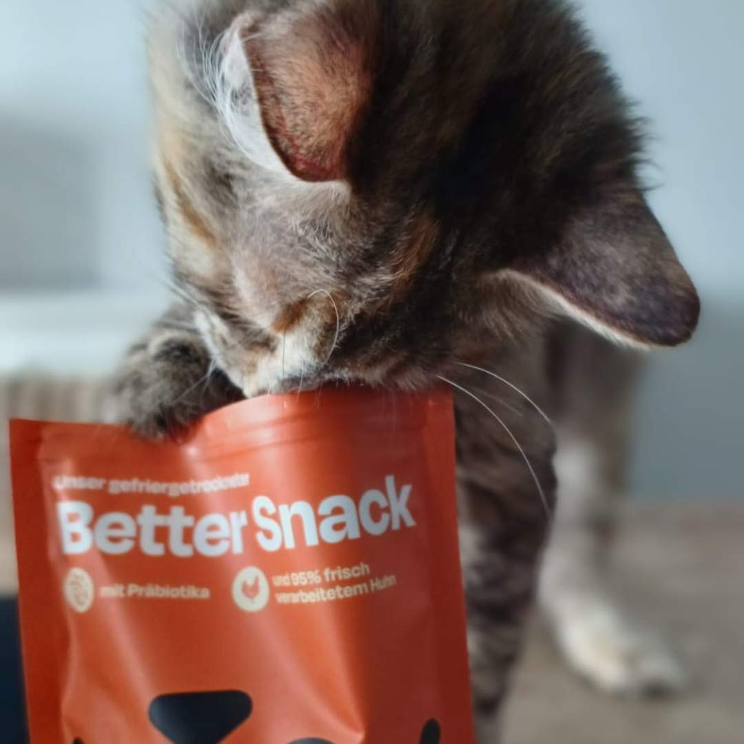 Nassfutter Pur Probier-Pack