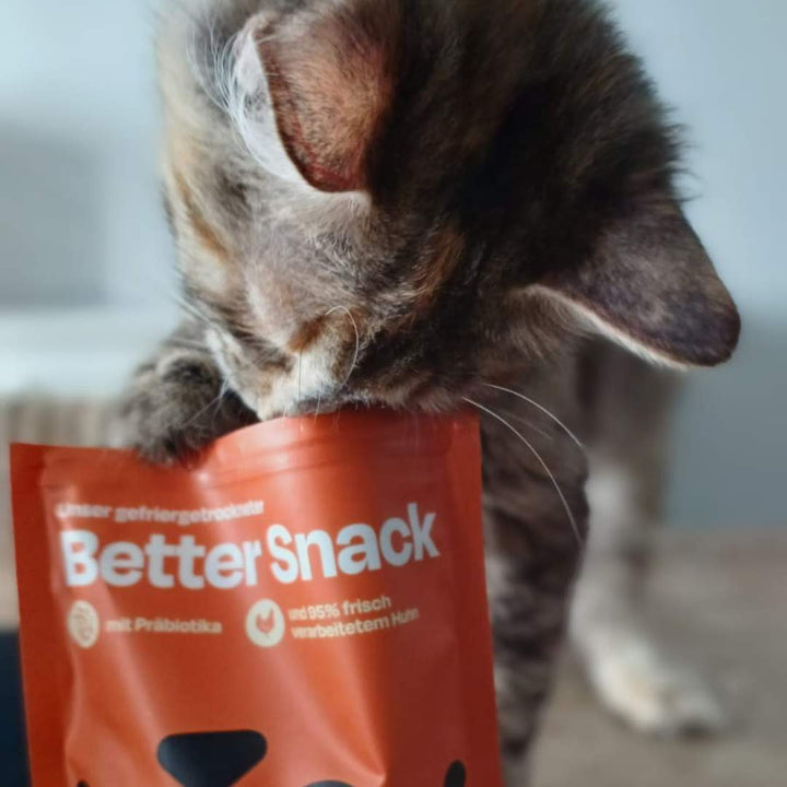 Nassfutter Pur Probier-Pack