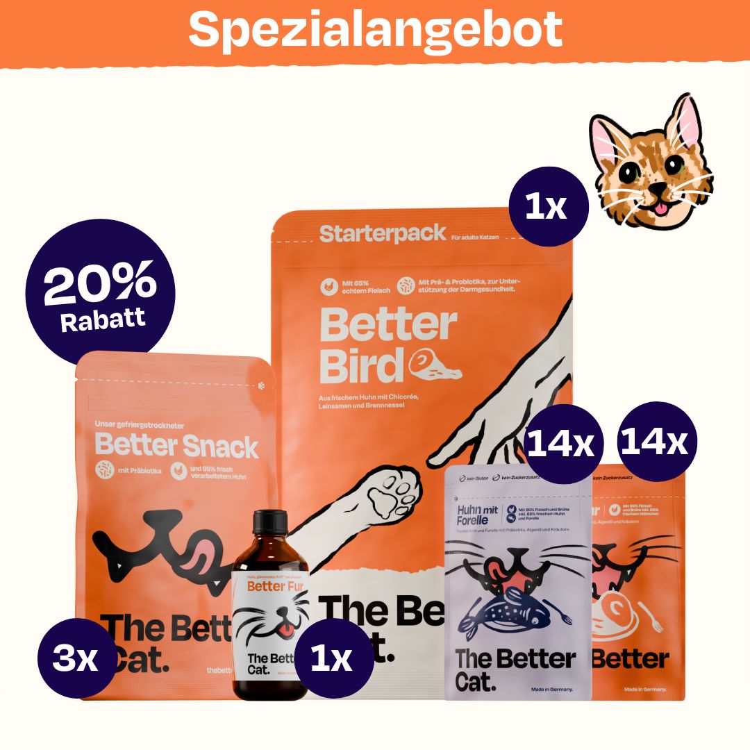 Das Schnurrbest Bundle